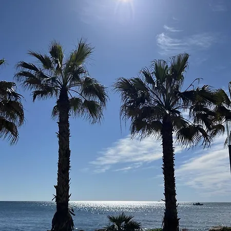 La Tropicale * Torrevieja