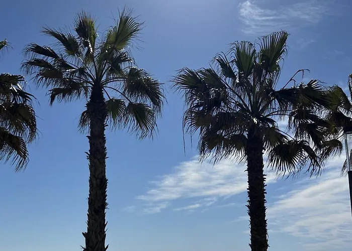 La Tropicale * 托雷维耶哈